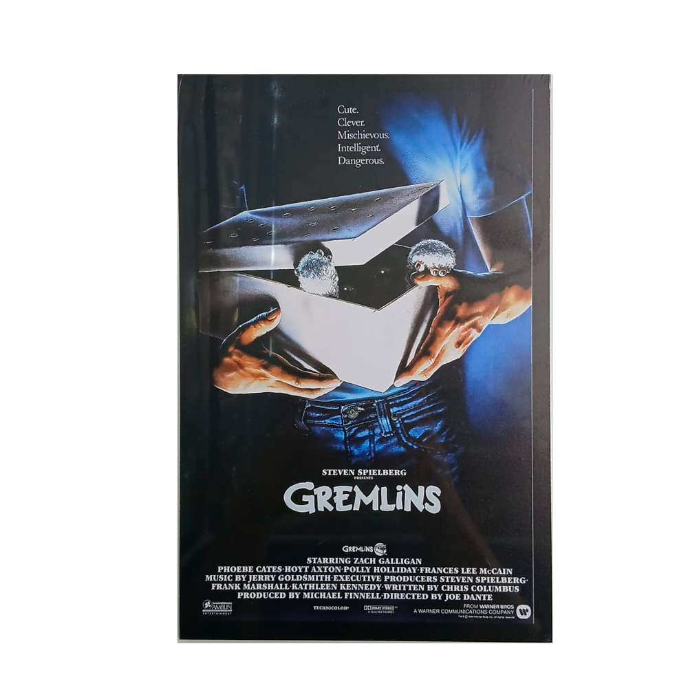 Cuadro 20x30 Gremlins