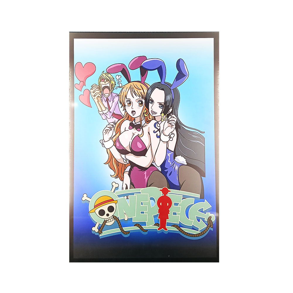 Cuadro 40x60 Nami & Boa One Piece