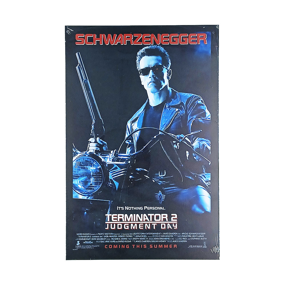 Cuadro 20x30 Terminator 2